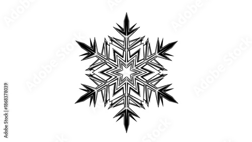 Intricate Black and White Snowflake Design with Geometric Patterns and Symmetry