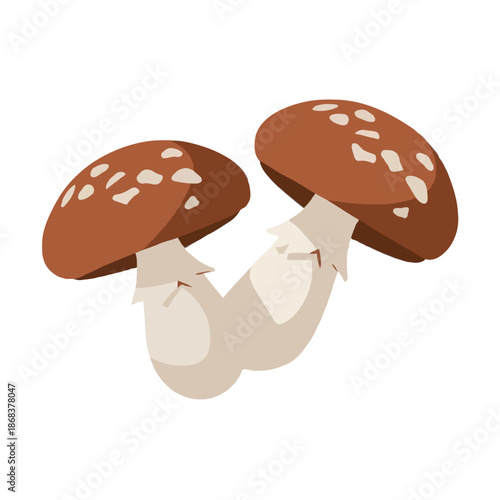 Wallpaper Mural Two brown mushrooms with white spots isolated on white background, Vector, illustration Torontodigital.ca