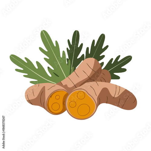 Fresh turmeric with leaves isolated on white background, Vector, illustration