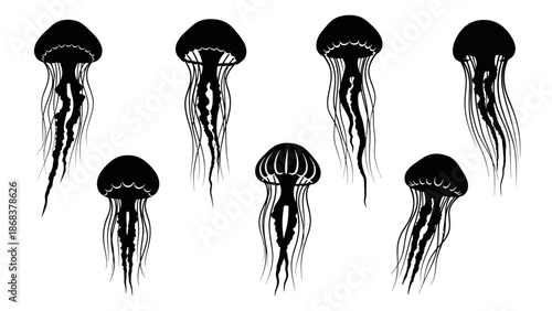 Stylized black and white jellyfish illustrations showing different forms and tentacle arrangements