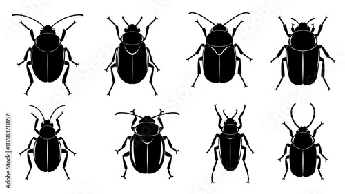 Collection of Eight Black and White Insect Silhouettes Featuring Different Beetles and Bugs for