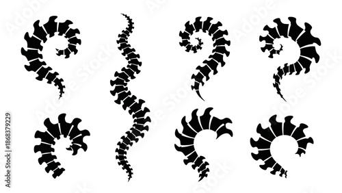 Abstract spiral sea creature illustrations in black silhouette style for design projects