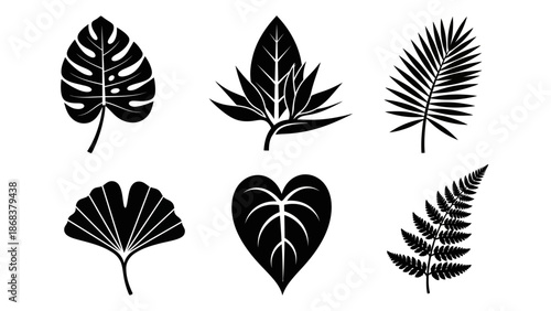 Minimalist Black and White Leaf and Plant Silhouettes for Nature Design Inspiration