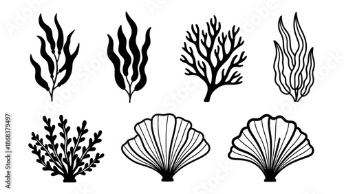 Collection of stylized black and white seaweed and shell illustrations for marine-themed design
