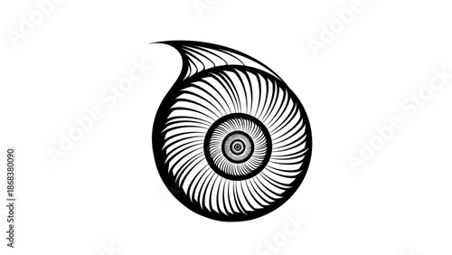 Abstract Spiral Nautilus Design in Black and White with Minimalist Art Elements