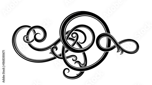 Elegant black and white swirling decorative ornamental flourish design artwork