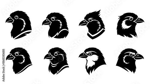 Collection of stylized black and white bird head vector icons with diverse designs and expressions