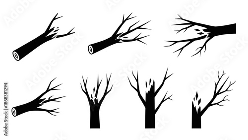 Collection of Various Tree Branch and Trunk Silhouettes in Black and White