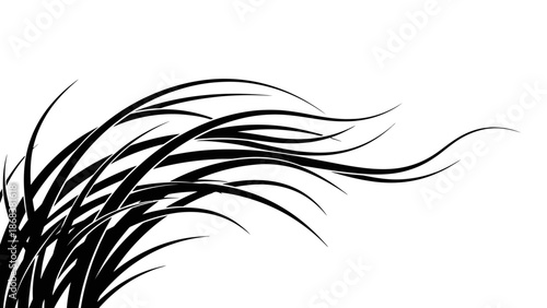 Elegant Black and White Abstract Grass or Hair Illustration with Flowing Lines