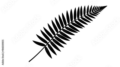 Silhouette of a fern leaf with detailed leaflets in black on white background perfect for