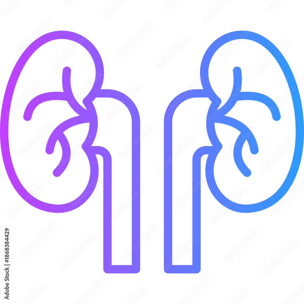 Fototapeta premium Nephrology line gradient icon