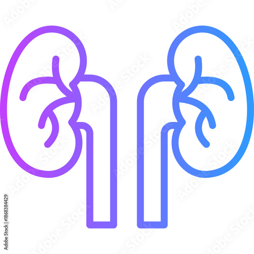 Nephrology line gradient icon