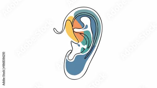 Diagram of the Human Ear Anatomy and Function.