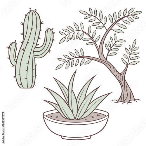 A line drawing of a cactus, an aloe plant in a pot, and a tree with sparse leaves