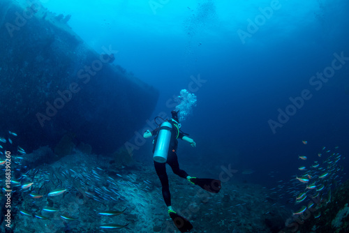Wallpaper Mural Scuba diver surrounded by neon fusiliers with massive boulder in the distance, Similan Islands, Thailand Torontodigital.ca