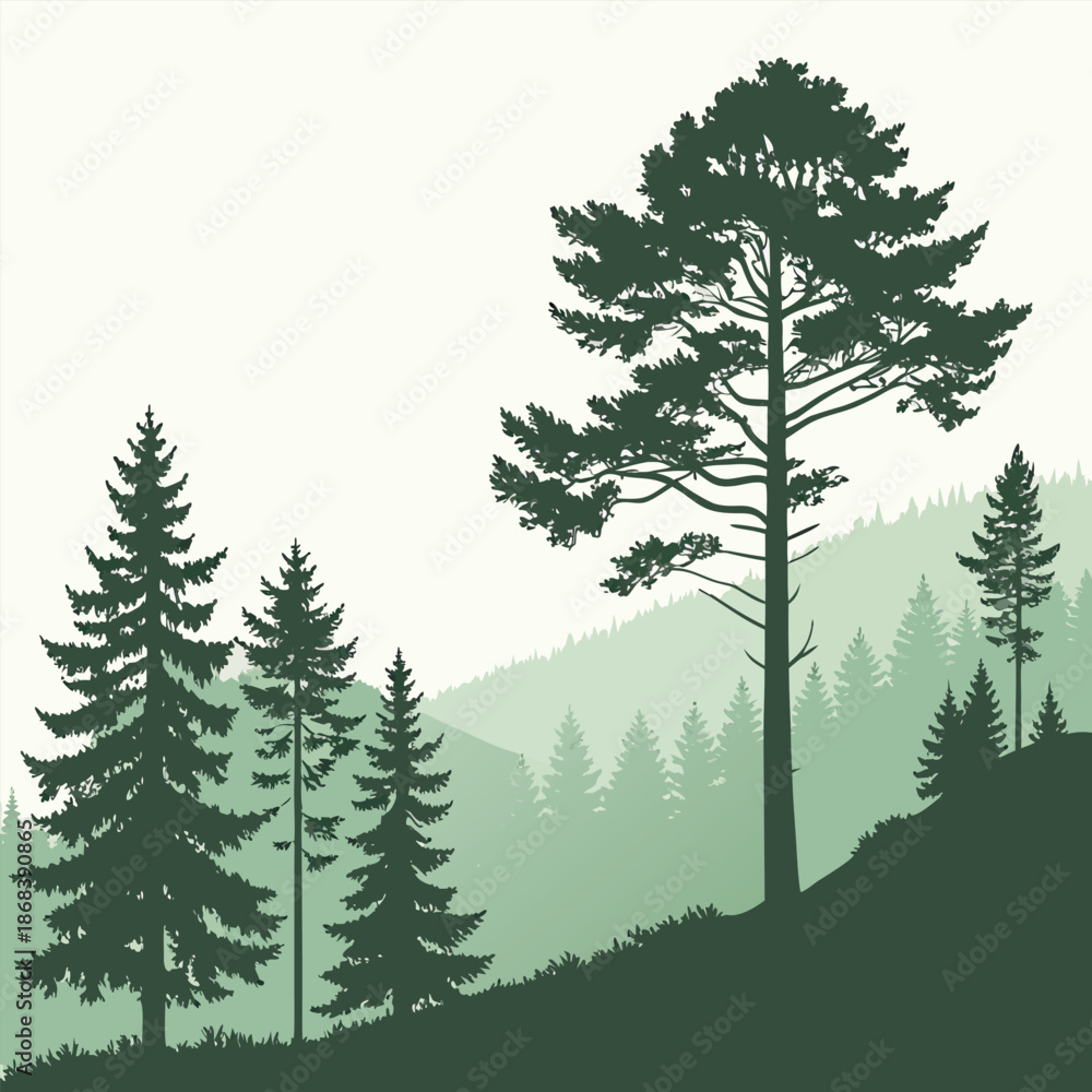 Fototapeta premium Silhouette of pine trees on a hill with a misty green background and a white sky