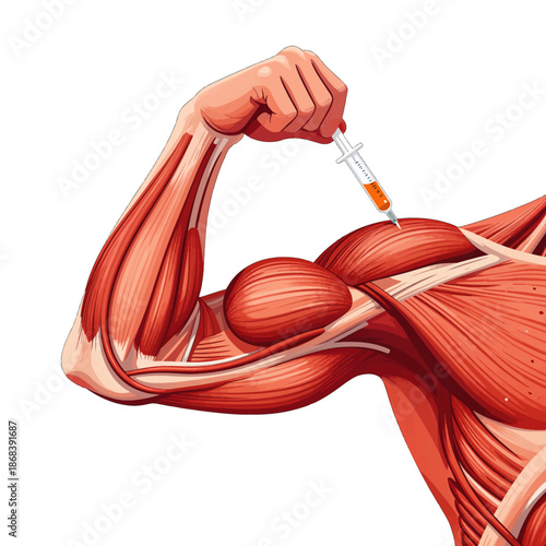Muscular arm flexing with syringe injection