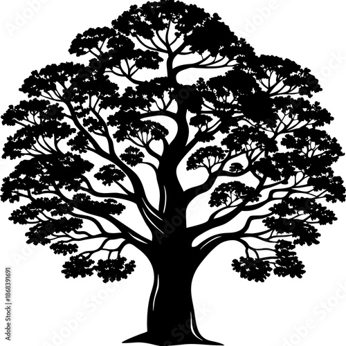 Silhouette of a majestic tree