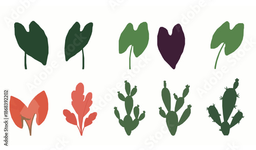 Decorative cactus and taro transparent plant vector illustration set
