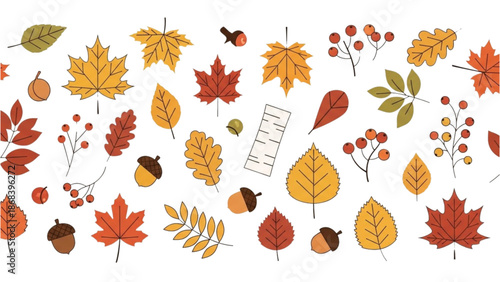 Autumn leaves and berries scattered around a white background with illustrations of acorns and ladybug