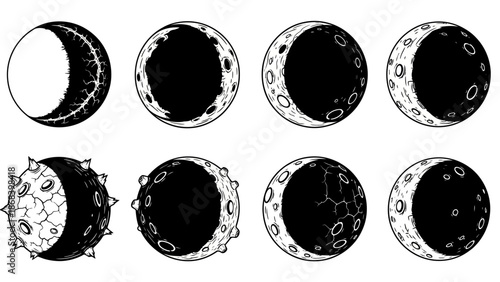 Illustrated phases of the moon in detailed monochrome style