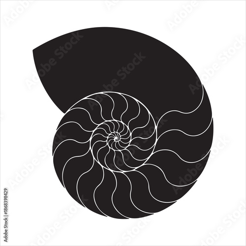 Black nautilus shell silhouette, Nautilus sea shell or spiral round snail shell, silhouette vector illustration 