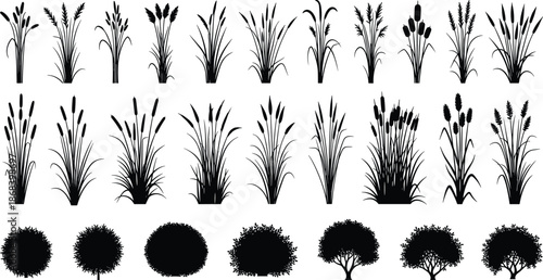 Grass and bush silhouette set, black botanical plants collection, reeds, shrubs, meadow vegetation, nature landscape design elements, vector illustration