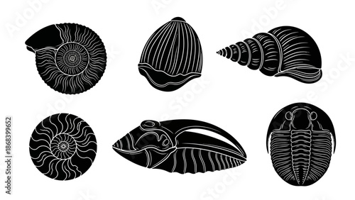 Black and white vector illustration of various prehistoric fossils and shells