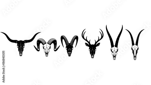 Animal skulls silhouettes deer goat ram bull horns on white background