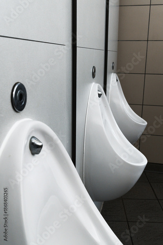 White toilet urinals