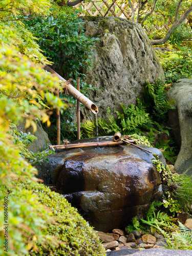  竹のししおどしが響く静寂の庭