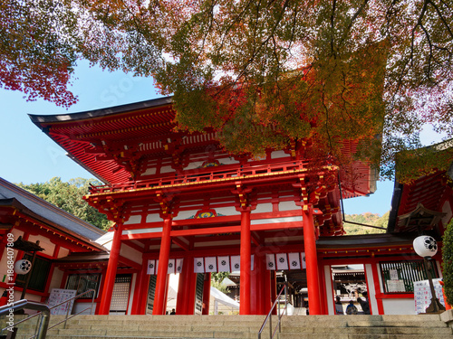 Naklejka 紅葉に包まれた近江神宮の社殿