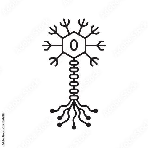 Neuron nerve cell icon line art vector illustrating brain nervous system biology and synaptic connection isolated on white background
