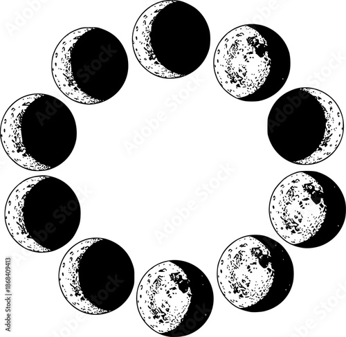 Engraved illustration of the phases of the moon on a white background
