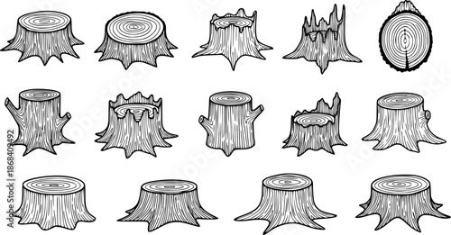 Hand-drawn illustrations of tree stumps in a variety of shapes and sizes

