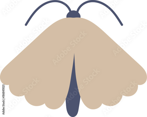 Moth Top View Silhouette