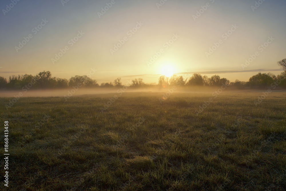 Fototapeta premium Sunrise Over Foggy Field on a Misty Spring Morning
