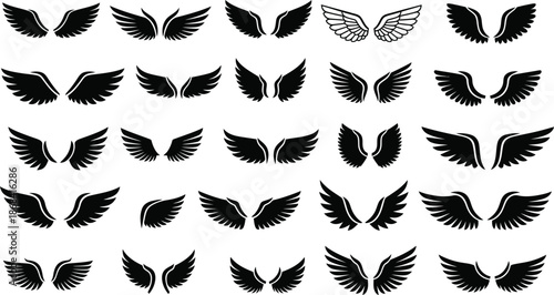 Angel Wings Icon Set