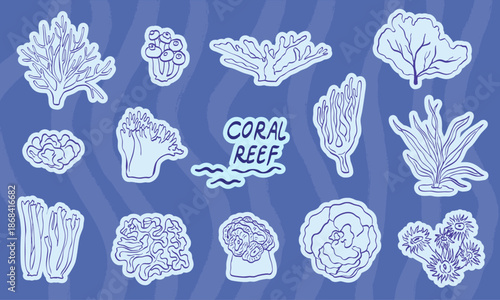 Vector illustration of coral reef hand drawn sketch collection set