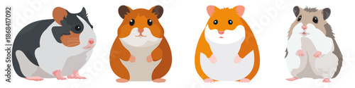hamster animal mammal small rodent furry Flat Vector Illustration on Transparent Background