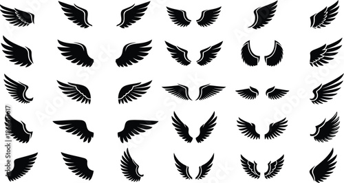 Black Wing Symbols and Logos