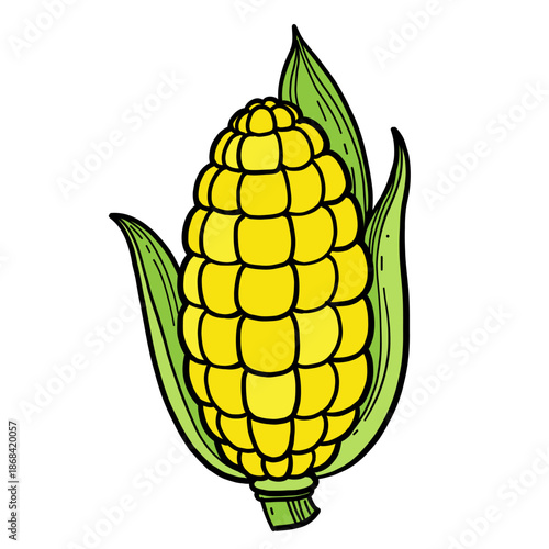 Fresh yellow ripe corn with leaves isolated on a white background