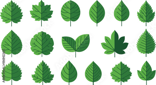 Green Leaves Collection