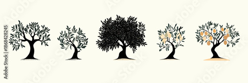 Minimalist flat vector set of olive trees with leaves and fruit in various growth stages isolated on light background for nature emblem design elements