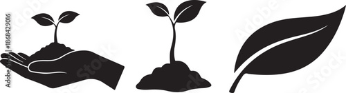 Plant seed and falling leaf icons. Hand with seeds nature growth symbol vector illustration eps