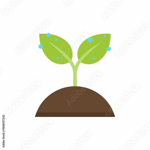Green seedling sprout growing from brown soil with blue water droplets
