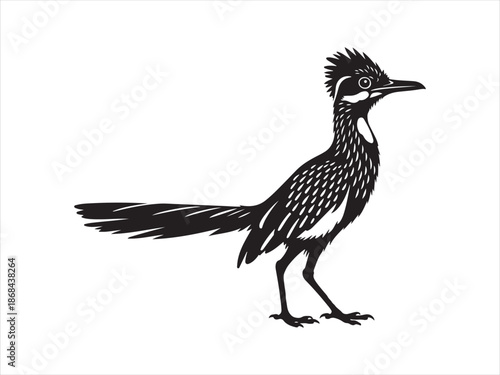 Roadrunner bird logo vector silhouette icon illustration. roadrunner bird isolated silhouette vector