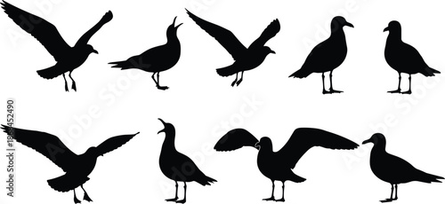 Collection of Seagull Silhouettes Including Coastal Birds Flying, Standing, and Squawking for Nautical Design, Beach Wildlife, and Ocean Nature Graphics