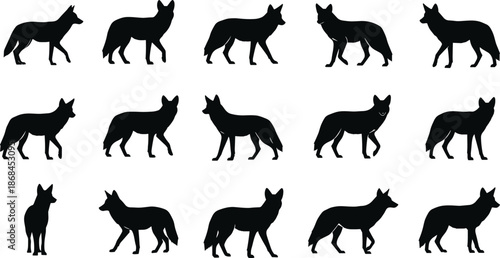 Coyote silhouette set, wild jackal vector icons, forest animal predator illustrations, desert wildlife canine poses, hunting scavengers nature graphics bundle