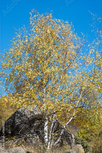 Wallpaper Mural landscape, autumn, nature, sky, mountain, forest, tree, fall, mountains, view, panorama, green, trees, yellow, hills, hill, clouds, scenic, grass, rural, travel, park, valley, cloud, season Torontodigital.ca